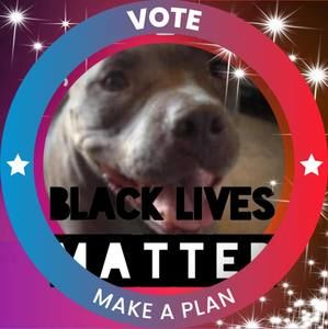 Meet your Posher, Gwen